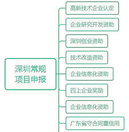 企业政策2024